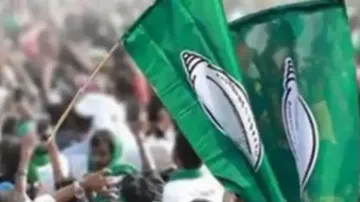 BJD