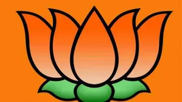 Panchayat polls: Bijay Mohapatra, Dillip Ray included in BJP star campaigner list