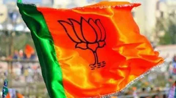 Final tally: BJP registers a thumping victory with 303 seats