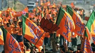 BJP Flags