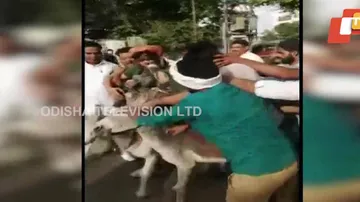 2 BSP Leaders Garlanded With shoes, Paraded On Donkey in Rajasthan