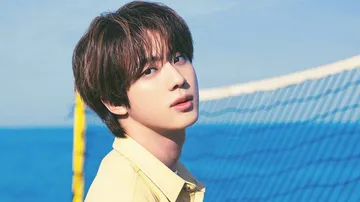BTS Jin