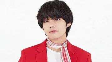 BTS' V