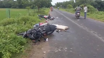 ‘Hitting’ Stray Bull Proves Costly For Illegal Liquor Traders