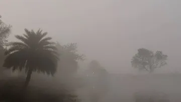 Winter Update: Odisha To Experience Chilly Condition From New Year (See Pics)