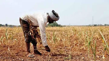 Farmers revive barter of labour practice post demonetisation