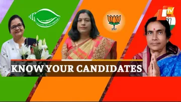Mayor election