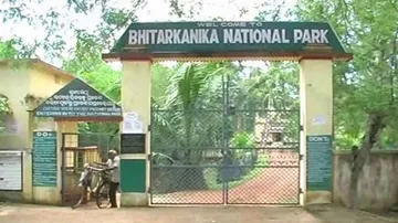 Odisha: Croc Census At Bhitarkanika From Tomorrow, Entry Restricted 