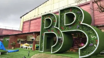 Bigg Boss 14: What's Brewing In The House Of Love?