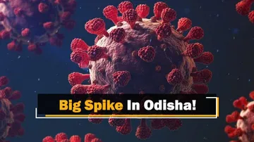 Odisha Records Big Surge, 290 COVID-19 Positive Cases In A Day