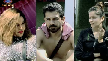 Bigg Boss 14: Rubina's Sister Says Rakhi's Behaviour Towards Abhinav Is Harassment
