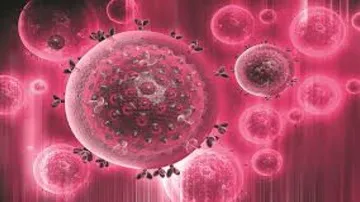 3D bone marrow to make platelets on demand