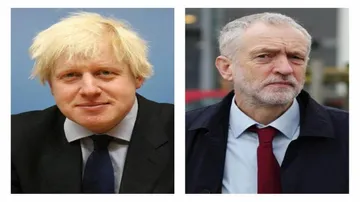 Harry Potter, mugwumps and man called Boris dominate Britain campaigning