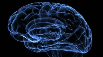 Vit B in pregnancy prevents brain ailments in baby
