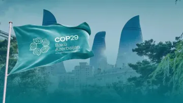 COP29