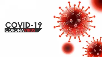 COVID19 Global Updates: Cases Surpass 67 Million, Deaths Exceed 1.53 Million