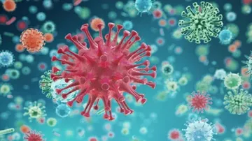 One-Year-Old Among 2 New Covid-19 Positive Cases Detected In Jharsuguda