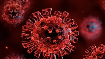 Coronavirus Cases In Odisha Near 1600-Mark With 76 New Positives