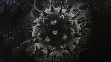 India Calls For Further Investigation On Covid-19 Origin Following WHO's Inconclusive Findings