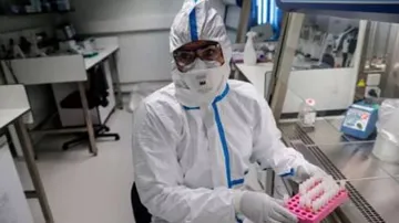 Coronaviruses Related To Pandemic Virus Found In Lab Freezers