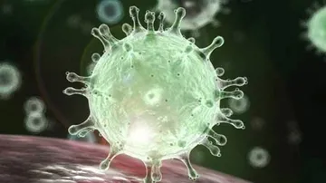 Three More Succumb To Covid-19 In Odisha, Toll Rises To 21