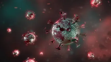New Covid Variant 'C.1.2' Detected In South Africa