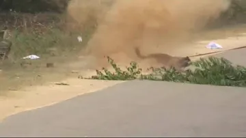 Dog injured in IED blast to be sent to Chennai for treatment