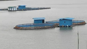 Odisha Plans Cage Aquaculture In Hirakud, Other Reservoirs To Boost Catch
