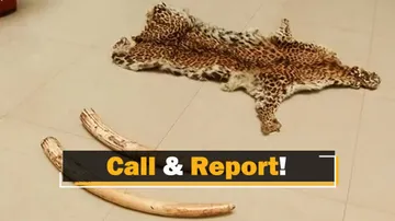 Odisha Police Crime Branch Issues Helpline Number To Curb Wildlife Crime