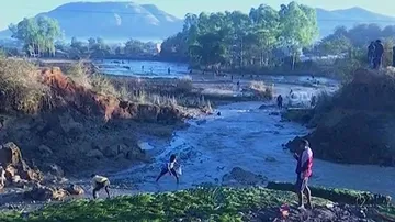 Odisha: Major Breach In Canal At Jeypore Devastates Acres Of Paddy Field (Watch)