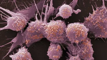 A cancer survivor's tribute to Kolkata brave-hearts