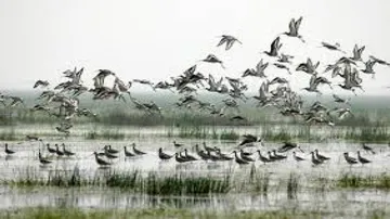 Chilika Lake nominated for World Heritage Site list