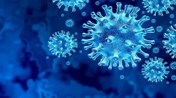 China's Missing Virologist Appears On State TV; Says COVID-19 'Tip Of The Iceberg'