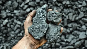 Coal 