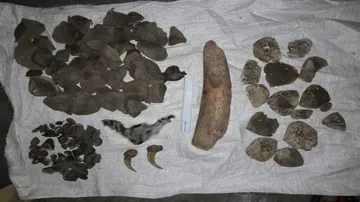 Wildlife Cell of CB seizes contraband wildlife products in Bargarh, nabs 3 accused