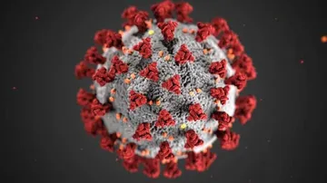 Avoiding Hospital In Pandemic Increased Heart Disease Deaths, Reveals Study