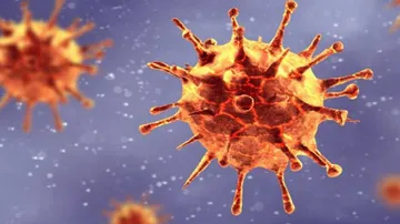 Coronavirus Live Updates: No Covid-19 Positive Case In Odisha Today