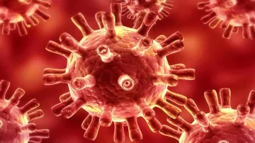 Coronavirus Live Updates: No Community Transmission In Odisha, Says Official