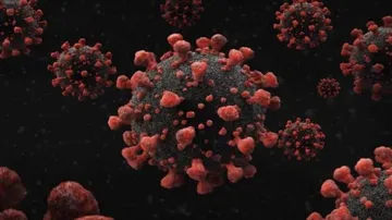 Coronavirus Live Updates: Return Of Migrants Crosses 1 Lakh Mark In Odisha