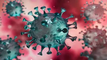 Coronavirus Live Updates: Odisha To Increase COVID-19 Testing Five-Fold