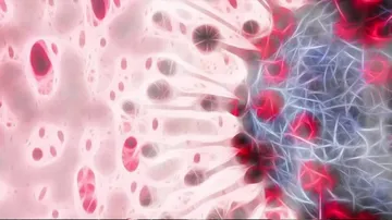 Seriously Ill Covid-19 Patients' Antibodies Affect Immune System