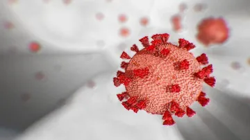 Coronavirus Live Updates: 7 New Cases Take Odisha's COVID-19 Tally To 176