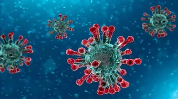 Six test positive, confirmed coronavirus cases rise to 45