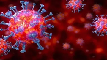 COVID-19 In Odisha: Positive Cases Rise To 74, 13 In A Single Day