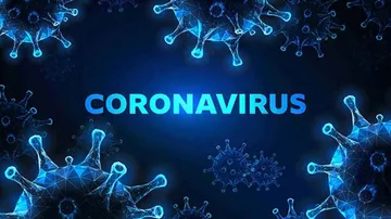 Novel Coronavirus Can Survive On Skin For 9 Hours: Study