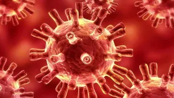 Previous Coronaviruses Infection May Lessen Severity Of Covid-19