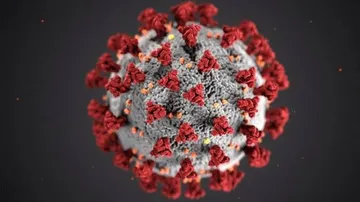 University of Pittsburgh reports successful COVID-19 vaccine trial