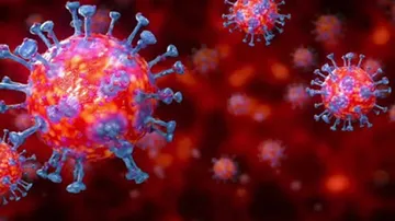 Daily Mouthwash May Inactivate Human Coronaviruses: Study