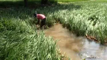 Cyclone Titli: Odisha farmers to get input subsidy