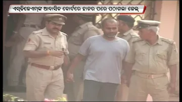No fresh remand of D-brothers; criminal siblings sent to jail